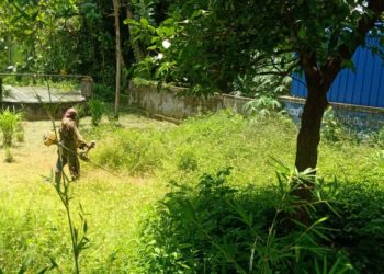 കുടുംബാരോഗ്യകേന്ദ്രത്തിൻ്റെ പരിസരം, പുല്ല് വെട്ടി വൃത്തിയാക്കി.