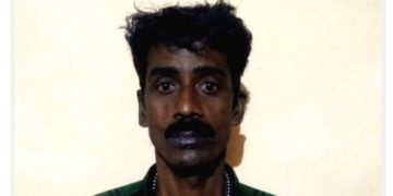 ചന്ദനമരം മുറിച്ച് കടത്തിയ പ്രധാന പ്രതി അറസ്റ്റിൽ