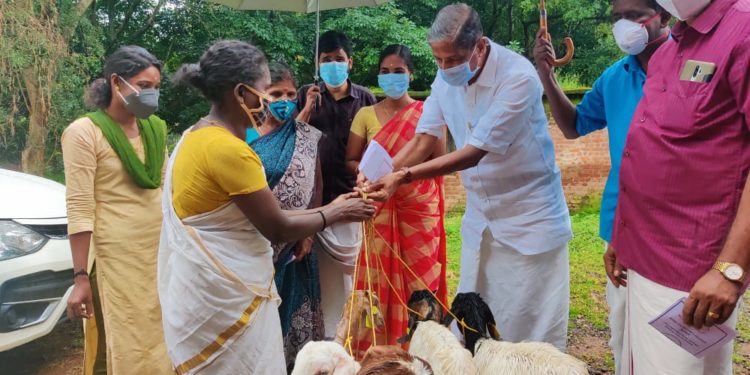 പി.കെ. കാളൻ പദ്ധതി ഉദ്ഘാടനം ചെയ്തു.