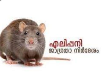 എലിപ്പനി: ജാഗ്രത പാലിക്കാന്‍ ആരോഗ്യ വകുപ്പിന്റെ നിര്‍ദേശം