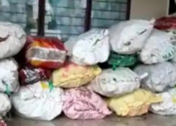 വന്‍ ചന്ദനവേട്ട : വനംവകുപ്പ് വിജിലന്‍സ് വിഭാഗം  1100 കിലോ ചന്ദനം പിടികൂടി