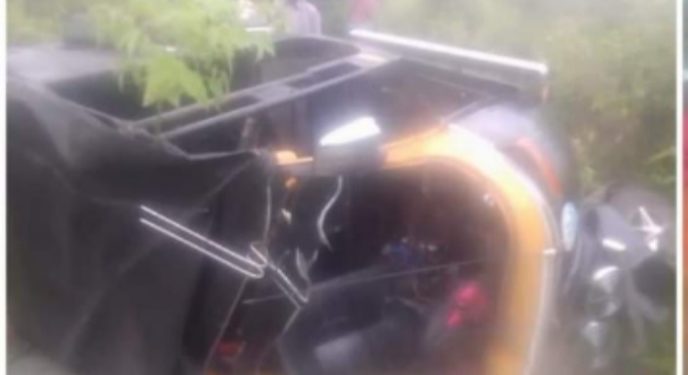 അട്ടപ്പാടിയില്‍ കാട്ടാനയുടെ ആക്രമണo : ഒരാള്‍ക്ക് പരിക്ക്