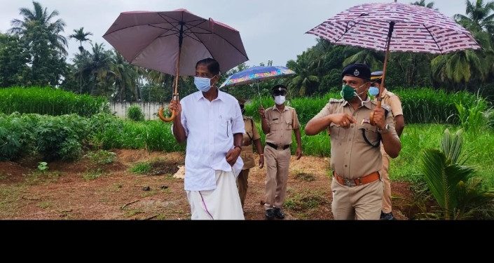 ജില്ലാ ജയിലിൽ ഡ്രാഗൺ ഫ്രൂട്ട് കൃഷി ആരംഭിച്ചു.