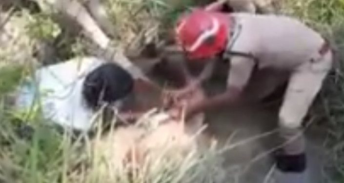 കഞ്ചിക്കോട്കുഴിയിലകപ്പെട്ട പശുവിനെ അഗ്നിരക്ഷാസേന രക്ഷപ്പെടുത്തി