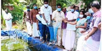 മത്സ്യകൃഷി വിളവെടുപ്പ് എം. എൽ. എ. എ. പ്രഭാകരൻ  ഉദ്ഘാടനം ചെയ്തു.