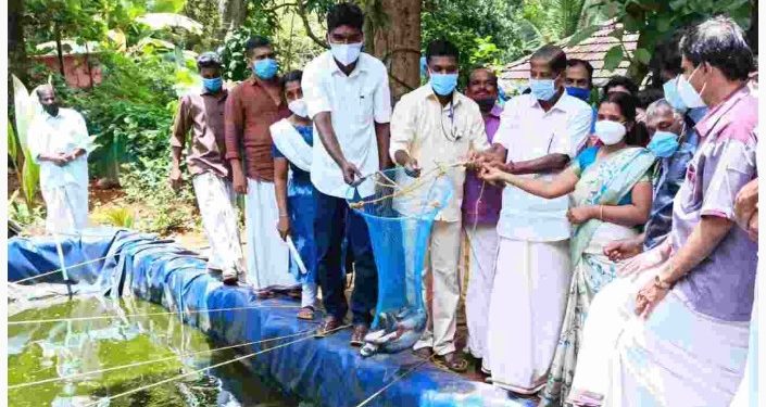 മത്സ്യകൃഷി വിളവെടുപ്പ് എം. എൽ. എ. എ. പ്രഭാകരൻ  ഉദ്ഘാടനം ചെയ്തു.
