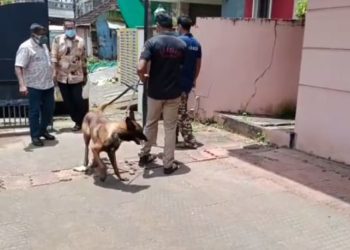പാലക്കാട് നഗരത്തിൽ   ആളില്ലാത്ത വീട്ടിൽ നിന്നും വൻ മോഷണം