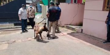 പാലക്കാട് നഗരത്തിൽ   ആളില്ലാത്ത വീട്ടിൽ നിന്നും വൻ മോഷണം