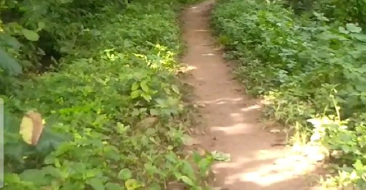 പോത്തുണ്ടി ഇറിഗേഷൻ വകുപ്പിൻ്റെ ഭൂമി കൈയ്യേറ്റം അധികൃതർ കണ്ണടക്കുന്നു