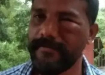 സിനിമാ ചിത്രീകരണത്തിനിടെ തേനീച്ചകളുടെ കുത്തേറ്റ് എട്ട് പേര്‍ക്ക് പരിക്ക്