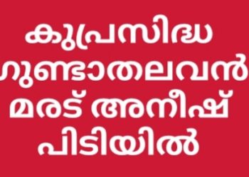 നിരവധി ക്രിമിനല്‍ കേസുകളിലെ പ്രതി ഗുണ്ടാ നേതാവ് മരട് അനീഷിനെ  പോലീസ് പിടിയിൽ