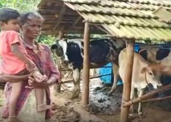 ആദിവാസി ദമ്പതികള്‍ക്ക് നേരെ അയല്‍വാസിയുടെ വെടിവെപ്പ്.