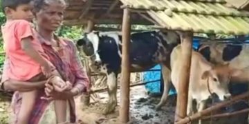 ആദിവാസി ദമ്പതികള്‍ക്ക് നേരെ അയല്‍വാസിയുടെ വെടിവെപ്പ്.