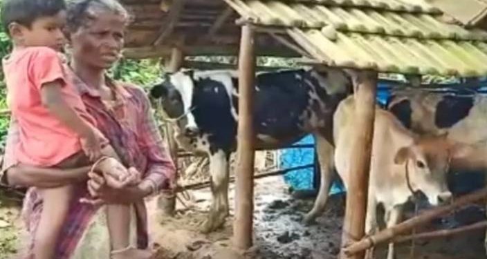 ആദിവാസി ദമ്പതികള്‍ക്ക് നേരെ അയല്‍വാസിയുടെ വെടിവെപ്പ്.