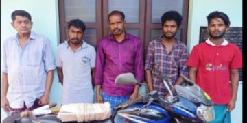 ചന്ദന മരങ്ങൾ മുറിച്ച് കടത്തിയ 5 പേർ പിടിയിൽ
