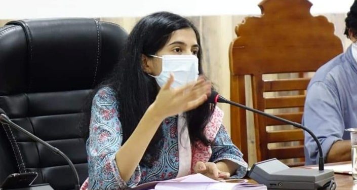 കോവിഡ്: പട്ടാമ്പിയിൽ ജില്ലാ കലക്ടറുടെ നേതൃത്വത്തിൽ യോഗം ചേർന്നു