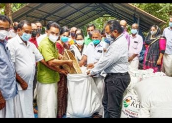 ജില്ലയില്‍ നെല്ലുസംഭരണം ആരംഭിച്ചു