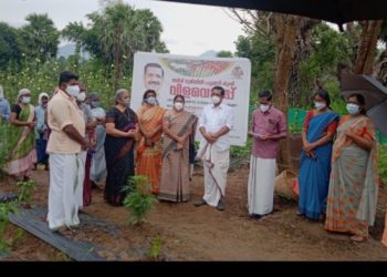 രണ്ട് ഏക്കർ  തരിശ്ശ് ഭൂമിയിലെ പച്ചക്കറി കൃഷിയുടെ വിളവെടുപ്പ്  നടത്തി