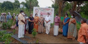 രണ്ട് ഏക്കർ  തരിശ്ശ് ഭൂമിയിലെ പച്ചക്കറി കൃഷിയുടെ വിളവെടുപ്പ്  നടത്തി