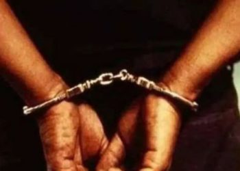 ര​ണ്ട് പേ​രെ ചന്ദനം കടത്താന്‍ ശ്രമിച്ചതിന് അറസ്റ്റ് ചെയ്തു