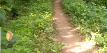 അംബേദ്കർ കോളനിക്കാർ അനിശ്ചിതകാല സമരത്തിന്