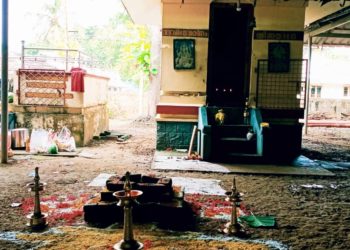 നാടെങ്ങും ആയില്യം പൂജ ആഘോഷിച്ചു.