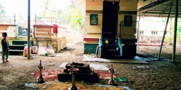 നാടെങ്ങും ആയില്യം പൂജ ആഘോഷിച്ചു.
