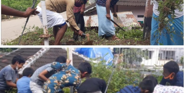 പാലക്കാട് മുനിസിപ്പാലിറ്റിയിൽ നാലാം വാർഡിൽ സ്ട്രീറ്റ് ലൈറ്റ് , ഡ്രൈനേജ് , റോഡ് എന്നീ പ്രശ്നങ്ങൾ പരിഹരിക്കണം