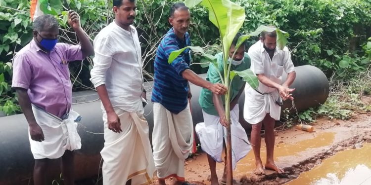 റോഡിൽ വാഴ നട്ട് പ്രതിഷേധിച്ചു