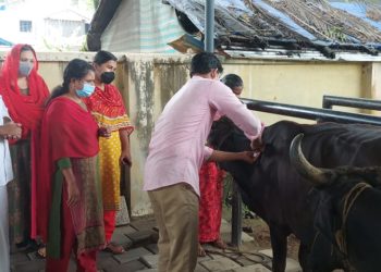 സൗജന്യ കുളമ്പുരോഗ പ്രതിരോധ കുത്തിവെപ്പ് യജ്ഞം