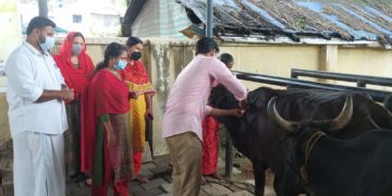 സൗജന്യ കുളമ്പുരോഗ പ്രതിരോധ കുത്തിവെപ്പ് യജ്ഞം