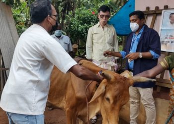 കുളമ്പു രോഗ കുത്തി വെപ്പിന് തുടക്കം കുറിച്ചു