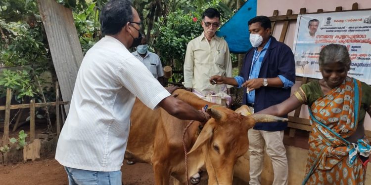 കുളമ്പു രോഗ കുത്തി വെപ്പിന് തുടക്കം കുറിച്ചു