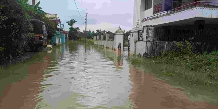 വെള്ള ക്കെട്ട് മൂലം കോളനി വാസികൾ ദുരിതത്തിൽ