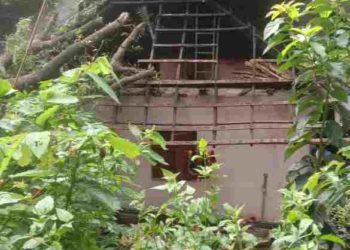കനത്ത മഴയിൽ മരം വീണ് വീട് തകർന്നു