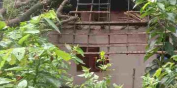 കനത്ത മഴയിൽ മരം വീണ് വീട് തകർന്നു