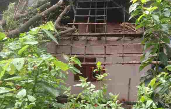 കനത്ത മഴയിൽ മരം വീണ് വീട് തകർന്നു