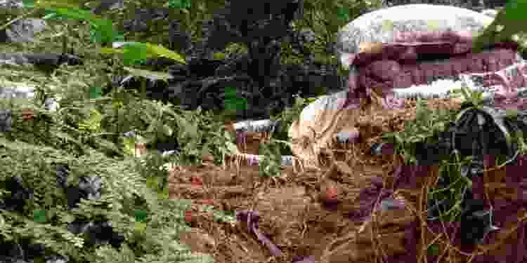 തോടിൻ്റെ വശങ്ങൾ ഭിത്തികെട്ടി സംരക്ഷിക്കണം 