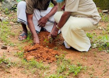 ടീം ആൽഫ യുടെ തുളസീവനം പദ്ധതിയ്ക്ക് തുടക്കമായി.