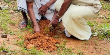 ടീം ആൽഫ യുടെ തുളസീവനം പദ്ധതിയ്ക്ക് തുടക്കമായി.