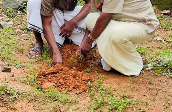 ടീം ആൽഫ യുടെ തുളസീവനം പദ്ധതിയ്ക്ക് തുടക്കമായി.