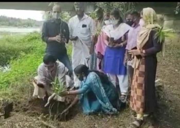 ഭാരതപ്പുഴയുടെ തീരങ്ങളിൽ മുളങ്കാട് വെച്ചു പിടിപ്പിക്കുന്ന പദ്ധതിക്ക് തുടക്കമായി