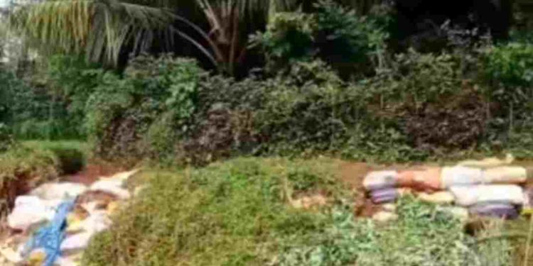 ശക്തമായ മഴയിൽ തടുക്കശ്ശേരി  പാടശേഖരത്തിലെ നെൽ കൃഷി നശിച്ചു.