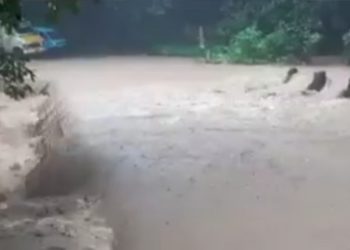 അട്ടപ്പാടി ചുരത്തിൽ മണ്ണിടിച്ചിൽ