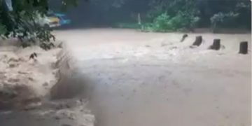 അട്ടപ്പാടി ചുരത്തിൽ മണ്ണിടിച്ചിൽ