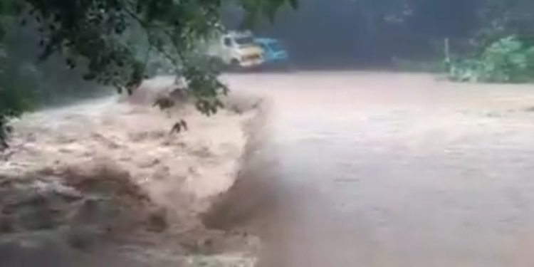 അട്ടപ്പാടിയിൽ കനത്ത മഴ; ഗതാഗതം തടസപ്പെട്ടു.