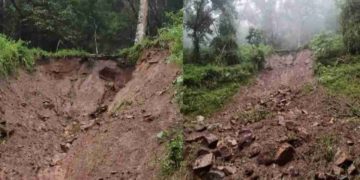 പറമ്പിക്കുളത്ത്  മണ്ണിടിച്ചിൽ : ഗതാഗത നിയന്ത്രണമേര്‍പ്പെടുത്തി.