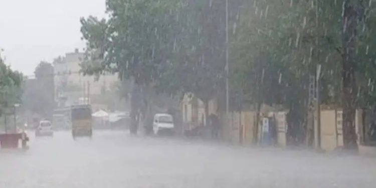 മണ്ണാര്‍ക്കാട്  ശക്തമായ മഴ,  നിരവധി വീടുകളില്‍ വെള്ളം കയറി.