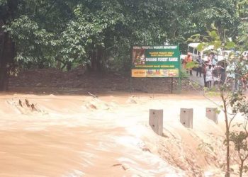 അട്ടപ്പാടിയില്‍ കനത്തമഴ; ചുരം വഴിയുള്ള ഗതാഗതത്തിന് നിയന്ത്രണം
