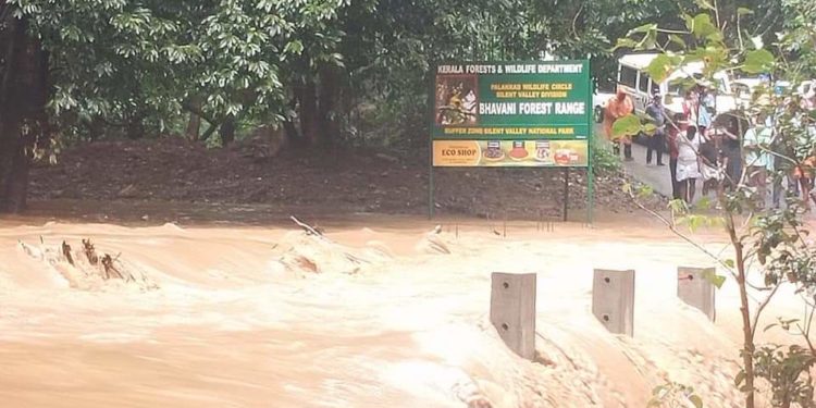 അട്ടപ്പാടിയില്‍ കനത്തമഴ; ചുരം വഴിയുള്ള ഗതാഗതത്തിന് നിയന്ത്രണം